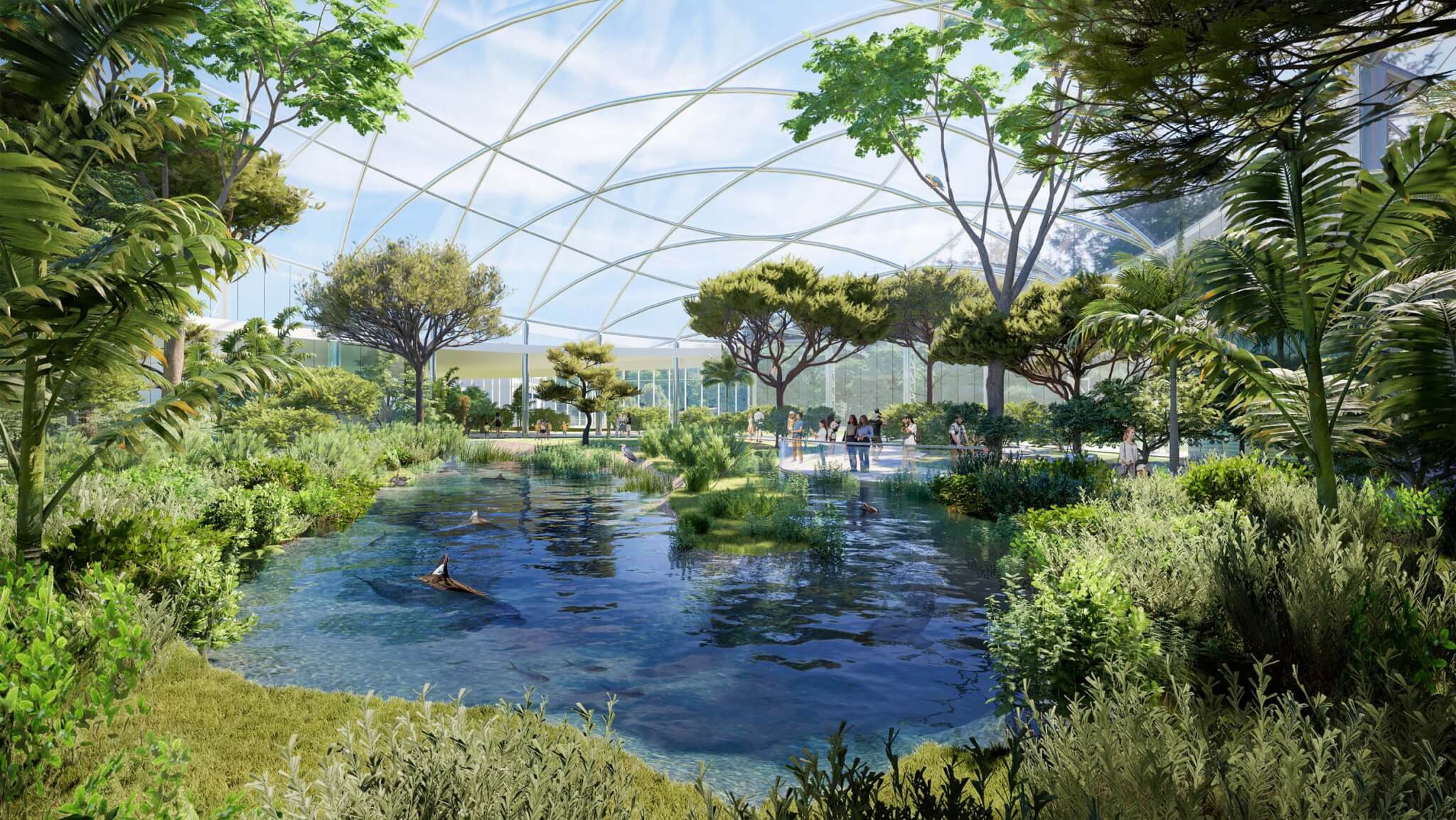 new dolphin exhibit