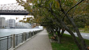roosevelt island
