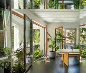 tree inside house