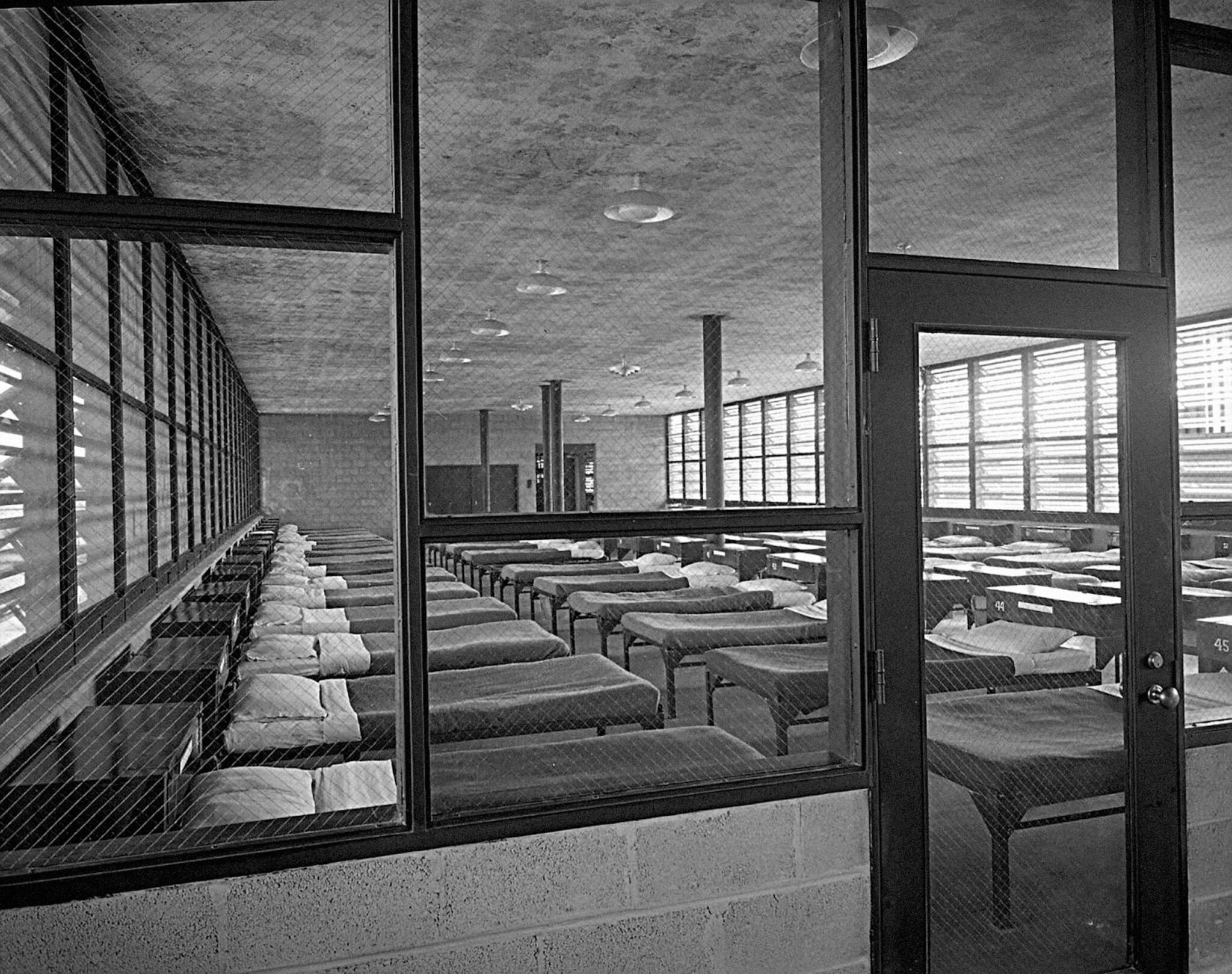 rows of beds