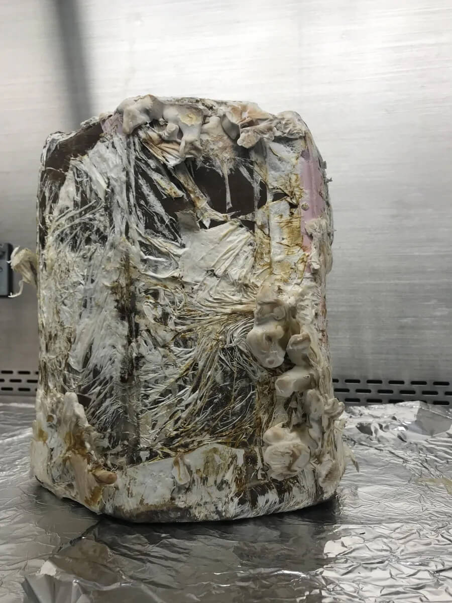 A stool constructed out of mycelia