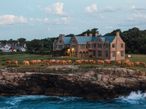 elephant sculptures along coast of Newport, Rhode Island