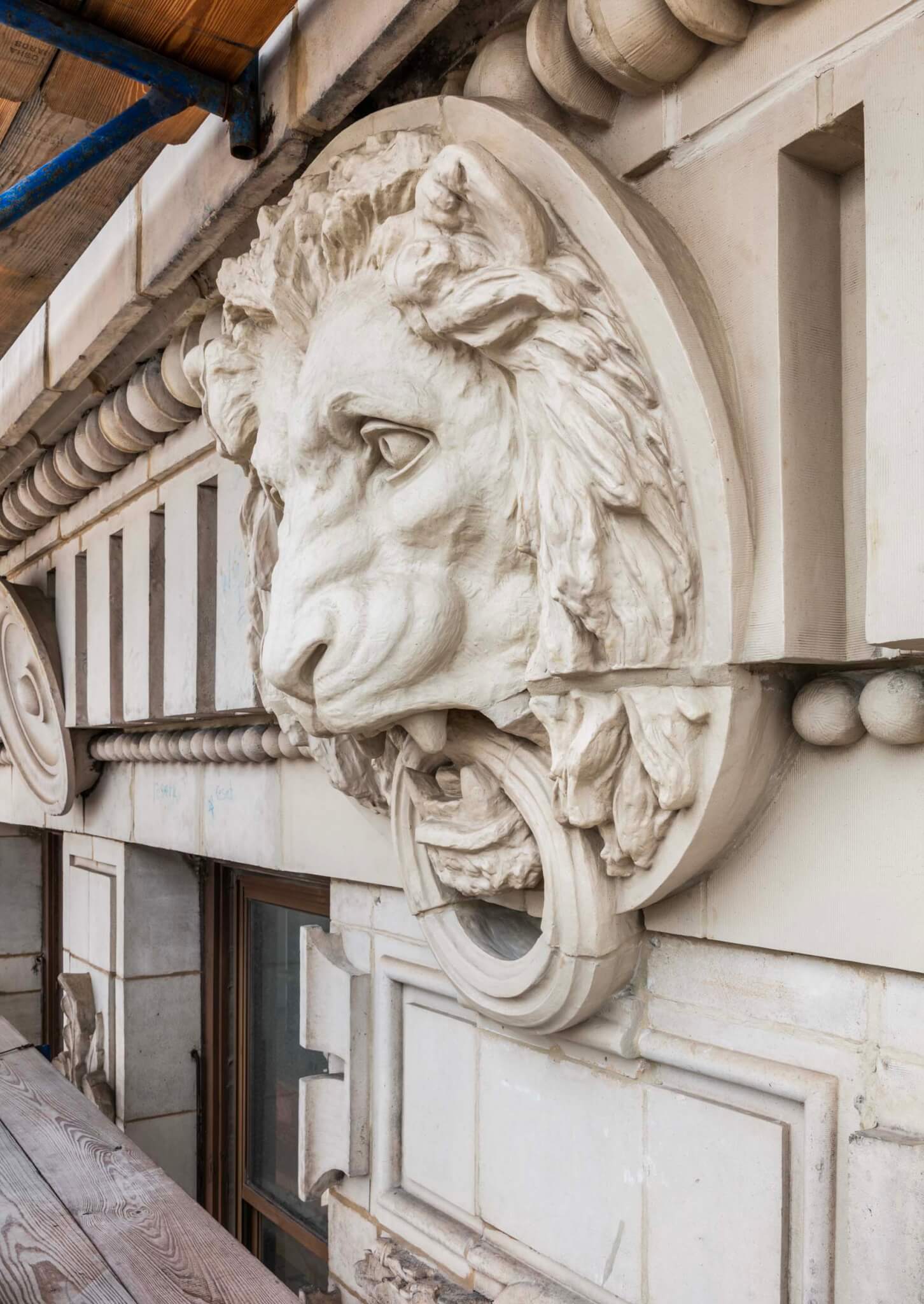 large lion head