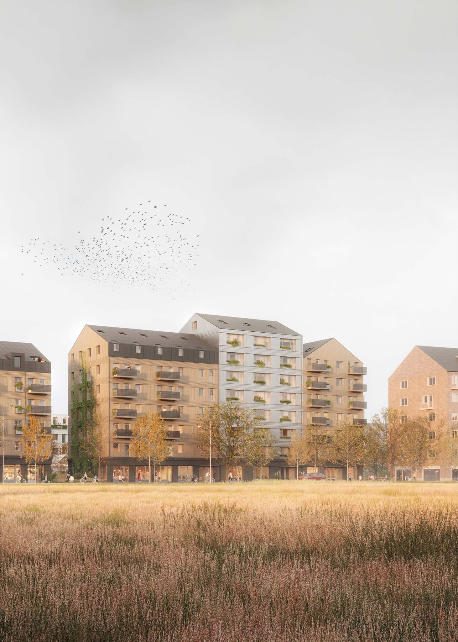 rendering of multifamily housing by Kaminsky Arkitektur