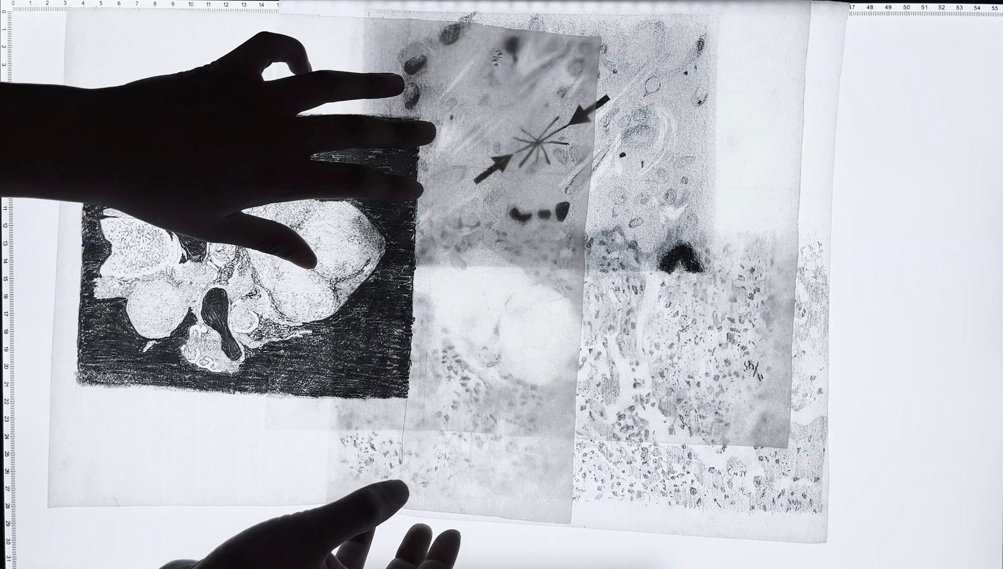 work from Thandi Loewenson